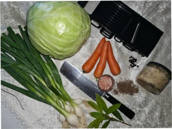 Workshop: Gemüse fermentieren - altes Handwerk neu entdecken